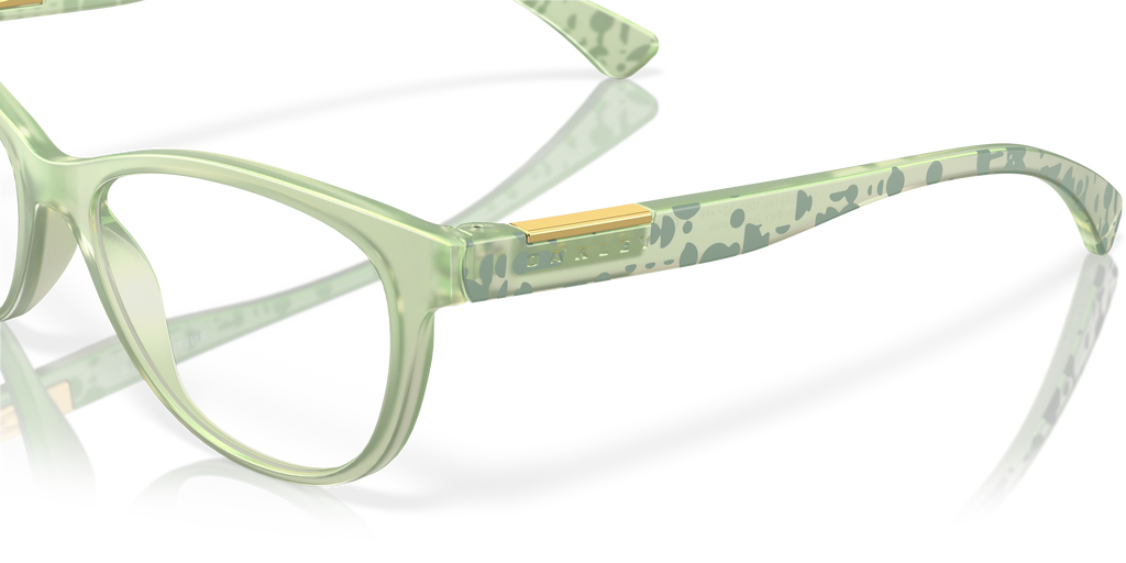 Oakley | 0OX8146 (Plungeline)