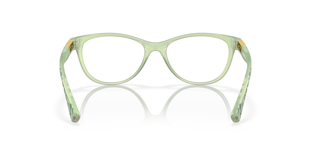 Oakley | 0OX8146 (Plungeline)
