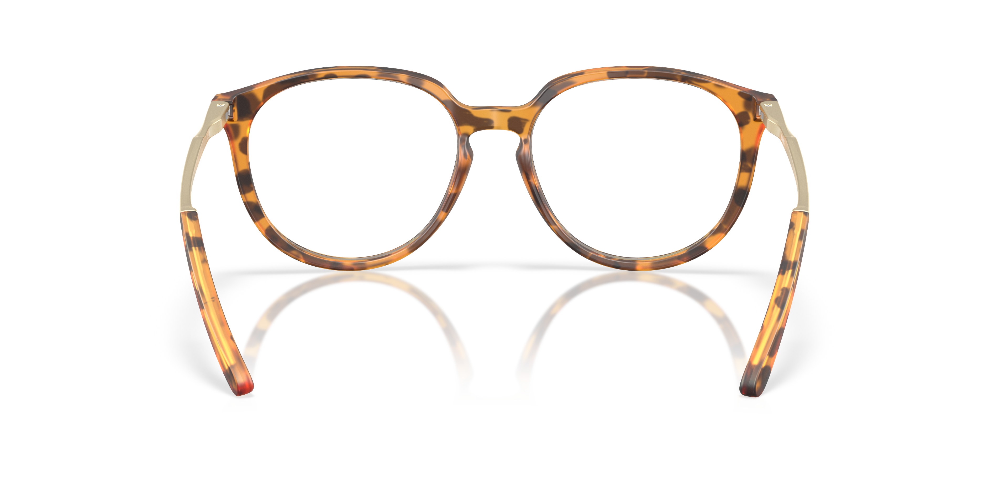 Oakley | 0OX8150 (Bmng)