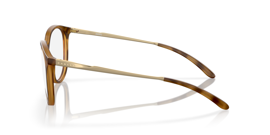 Oakley | 0OX8150 (Bmng)