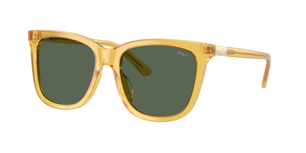 Polo Ralph Lauren | 0PH4201U