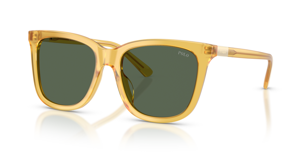 Polo Ralph Lauren | 0PH4201U