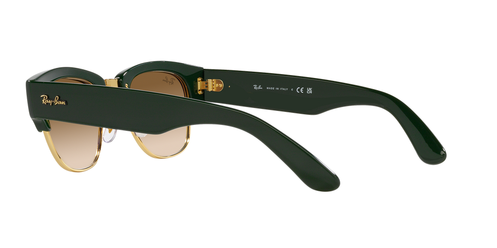 Ray-Ban | 0RB0316S