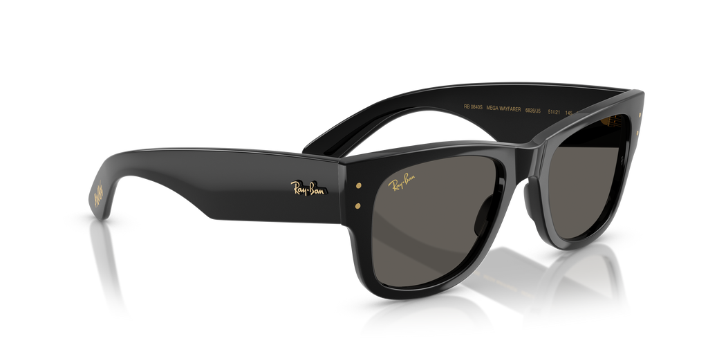Ray-Ban | 0RB0840S