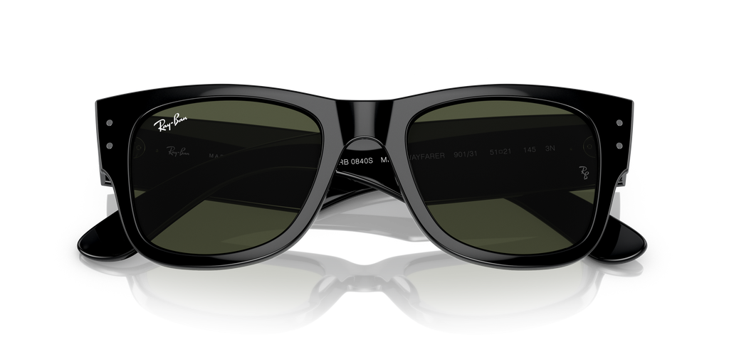 Ray-Ban | 0RB0840S