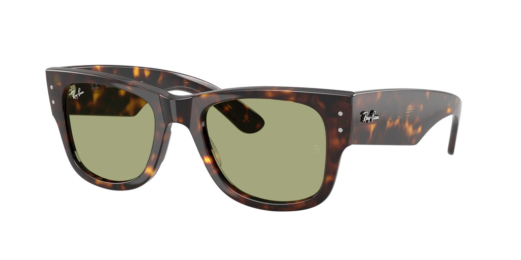 Ray-Ban | 0RB0840S