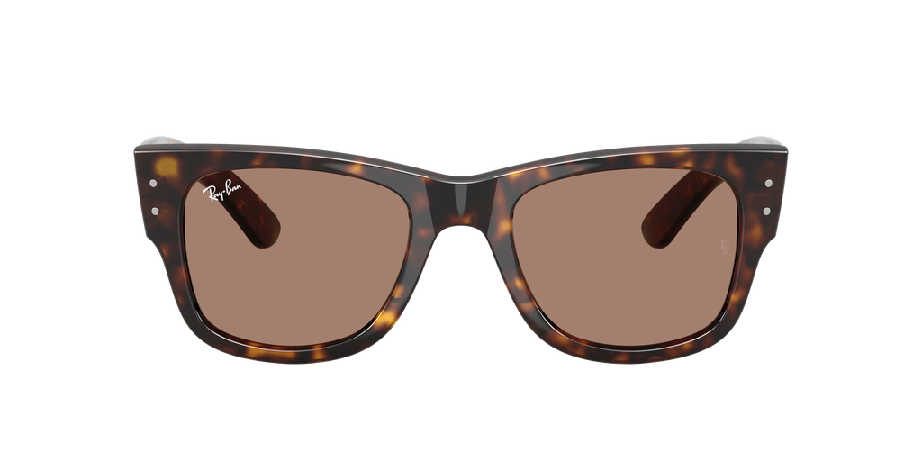 Ray-Ban | 0RB0840S