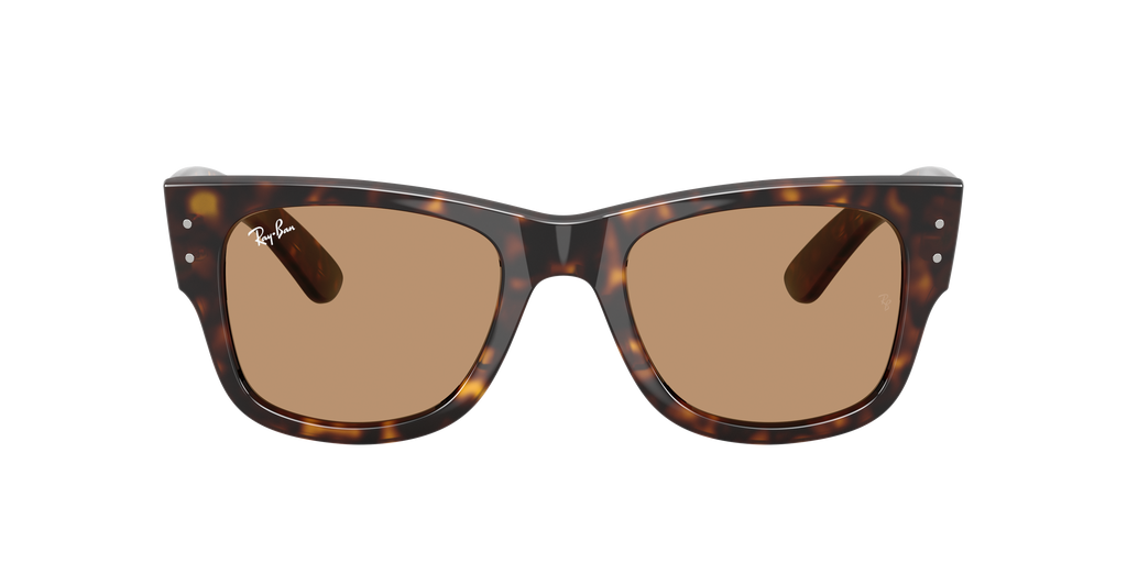 Ray-Ban | 0RB0840S
