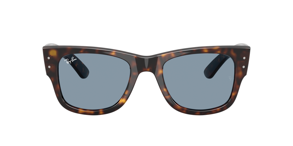 Ray-Ban | 0RB0840S