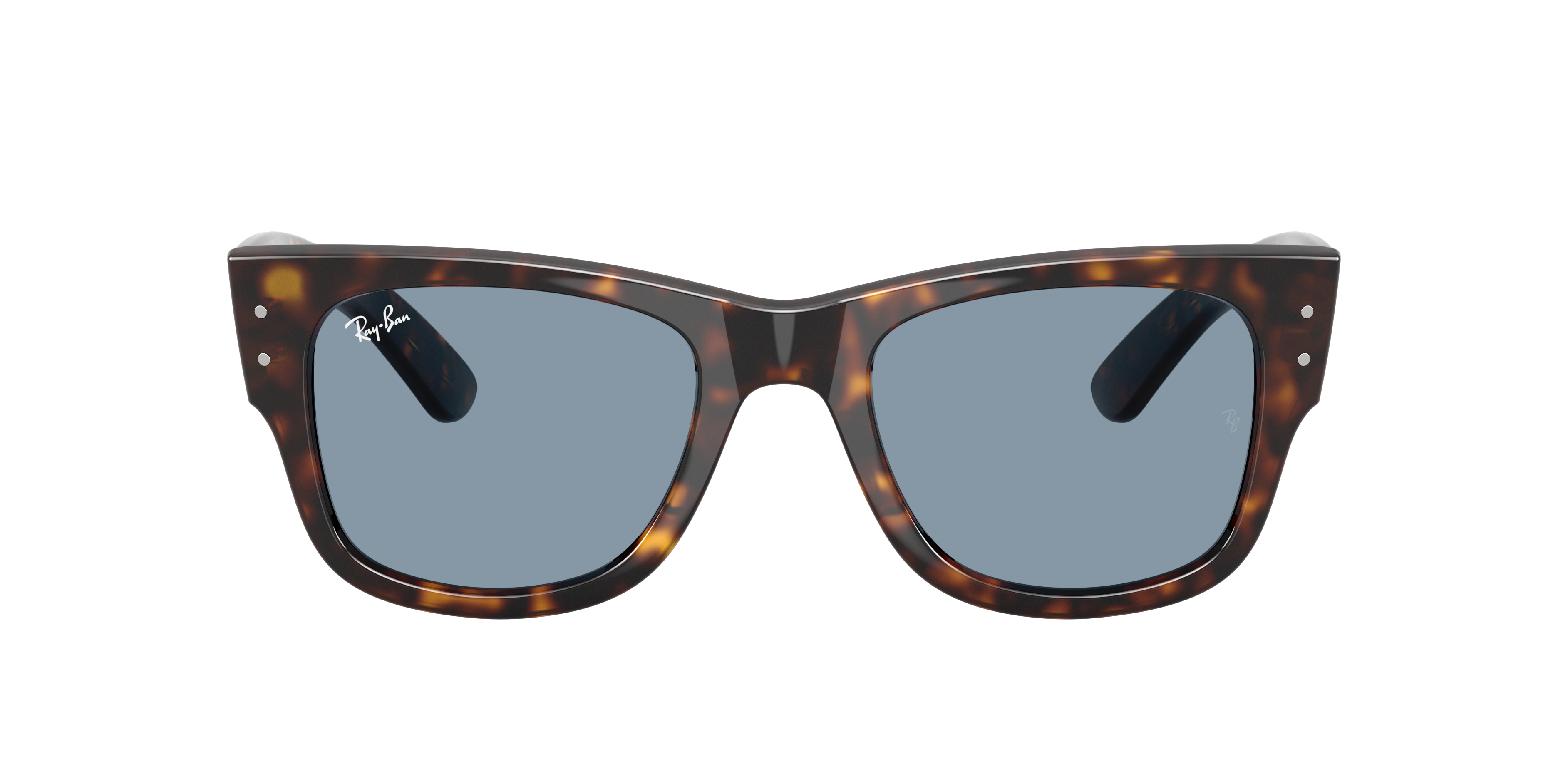 Ray-Ban | 0RB0840S