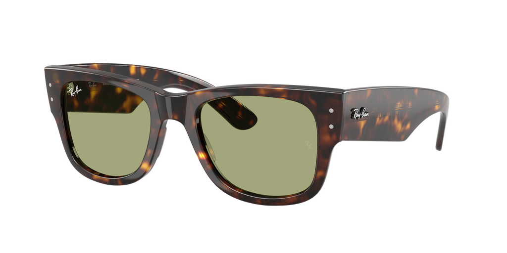 Ray-Ban | 0RB0840S