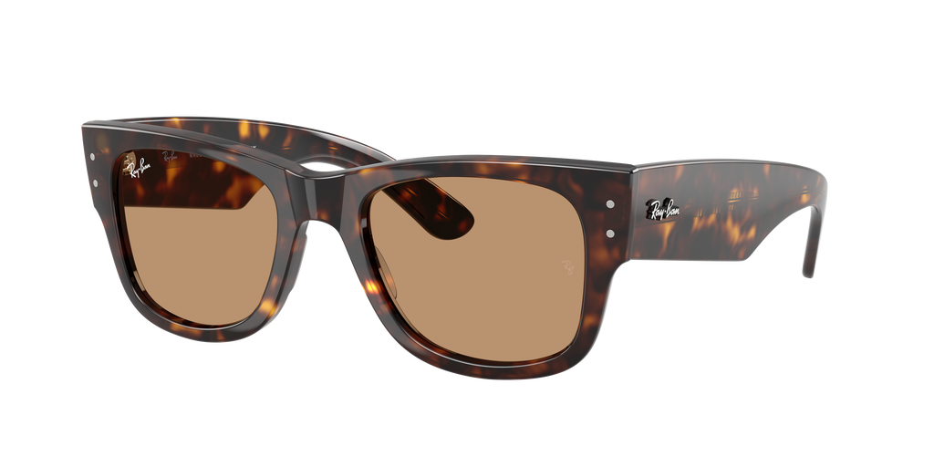 Ray-Ban | 0RB0840S