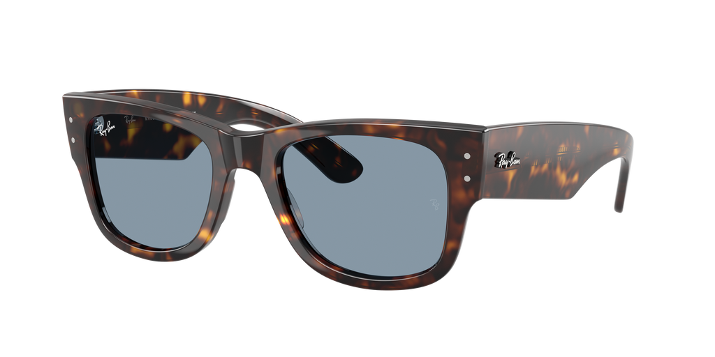 Ray-Ban | 0RB0840S