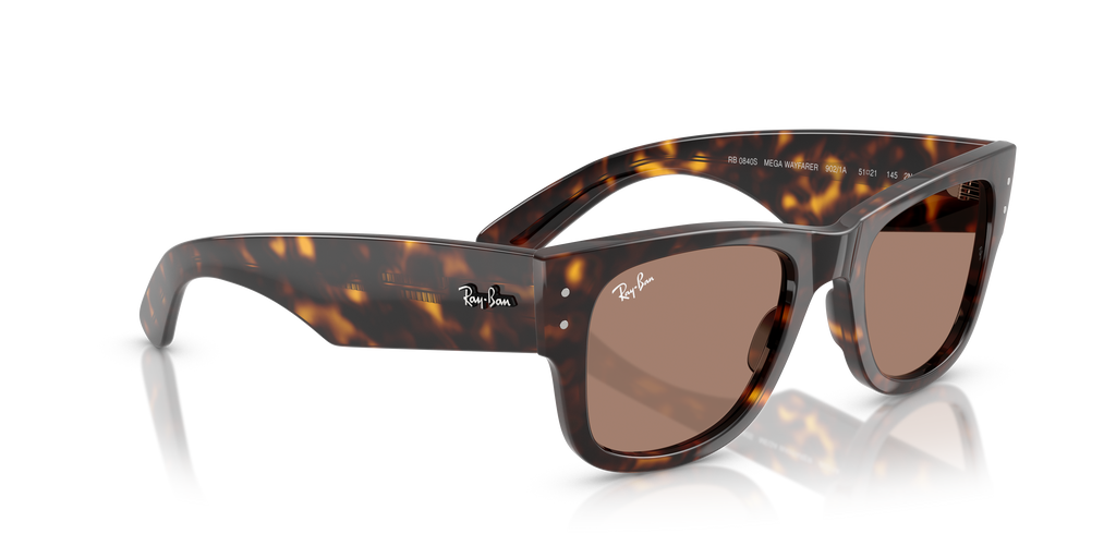 Ray-Ban | 0RB0840S