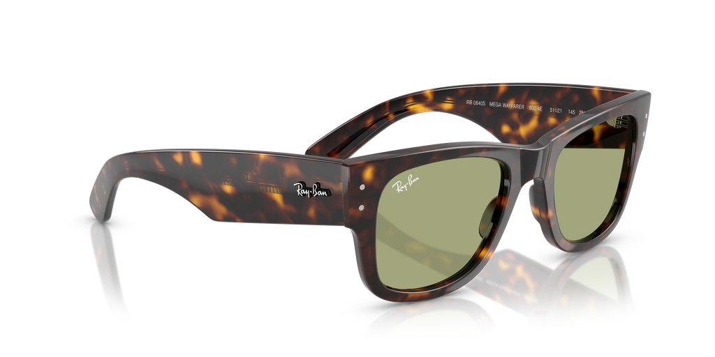 Ray-Ban | 0RB0840S