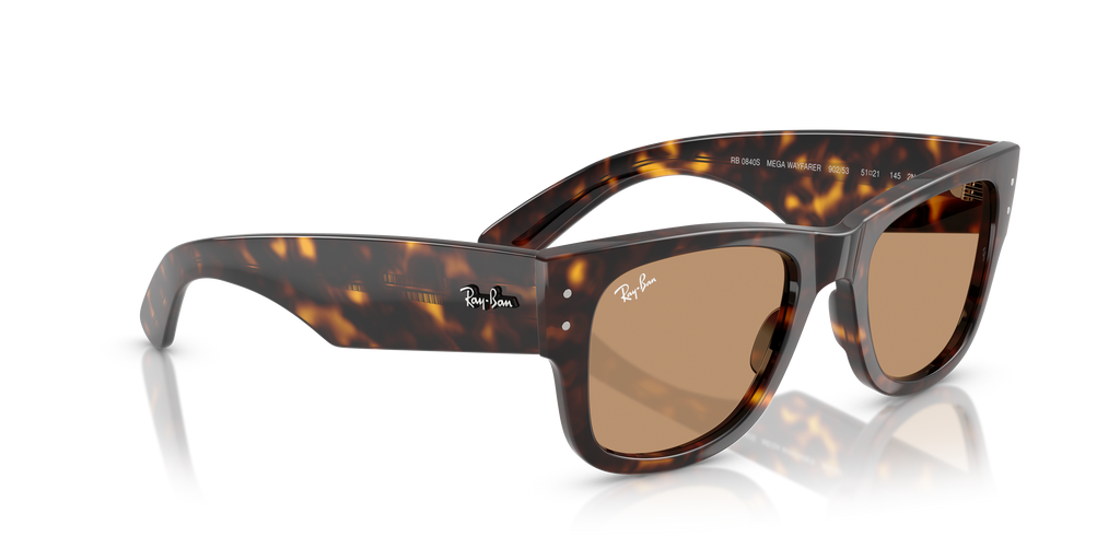 Ray-Ban | 0RB0840S