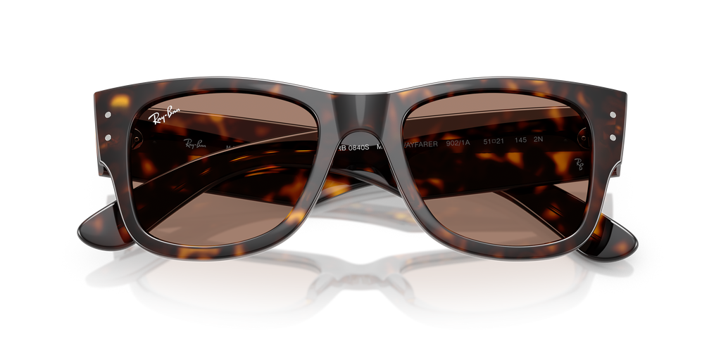 Ray-Ban | 0RB0840S
