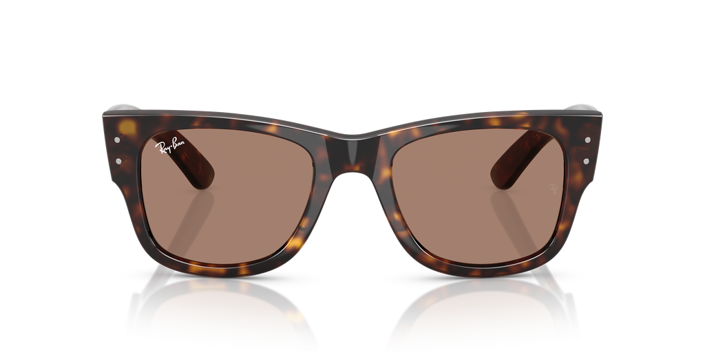 Ray-Ban | 0RB0840S
