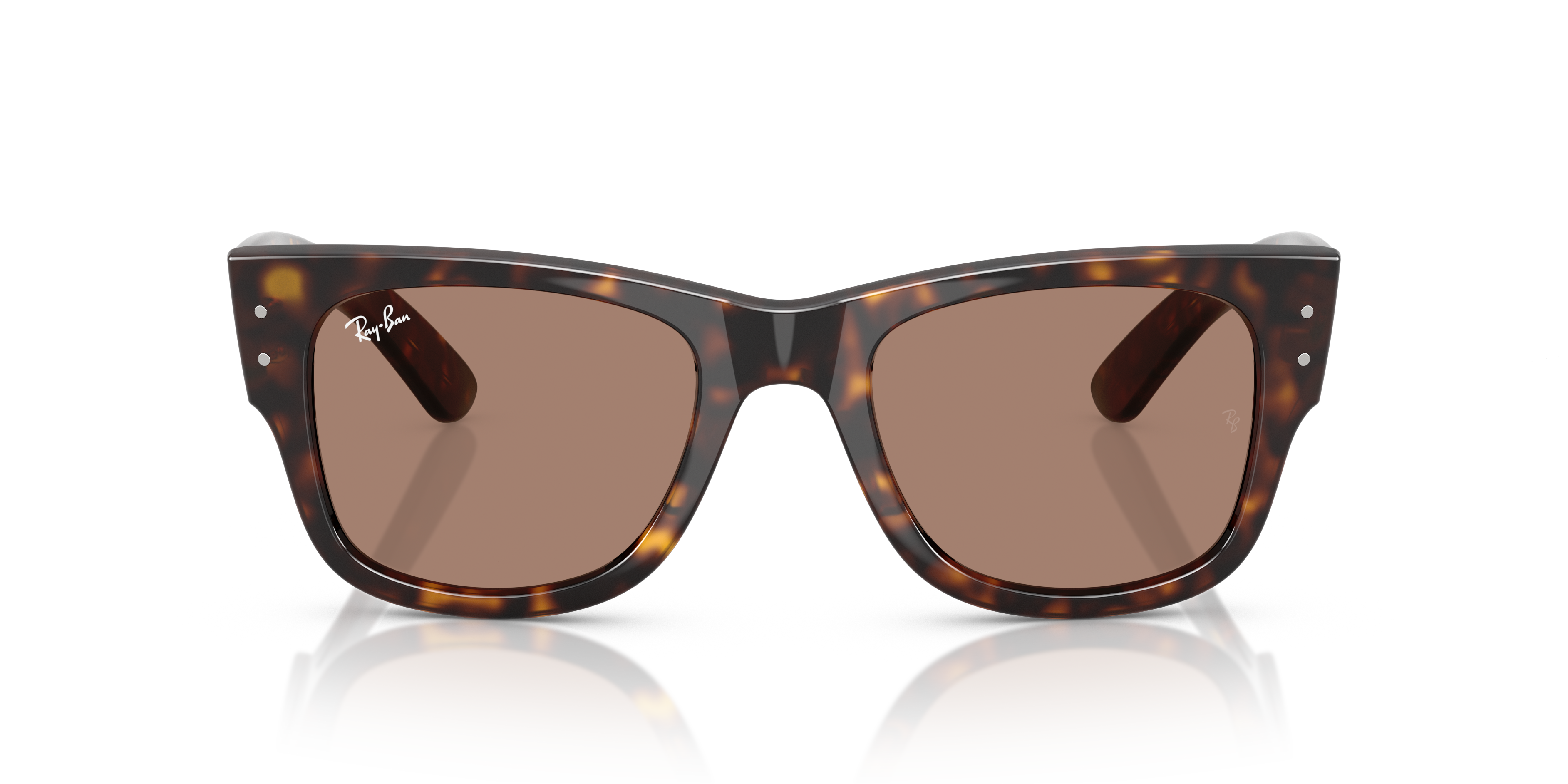 Ray-Ban | 0RB0840S