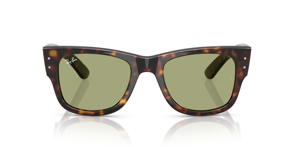 Ray-Ban | 0RB0840S