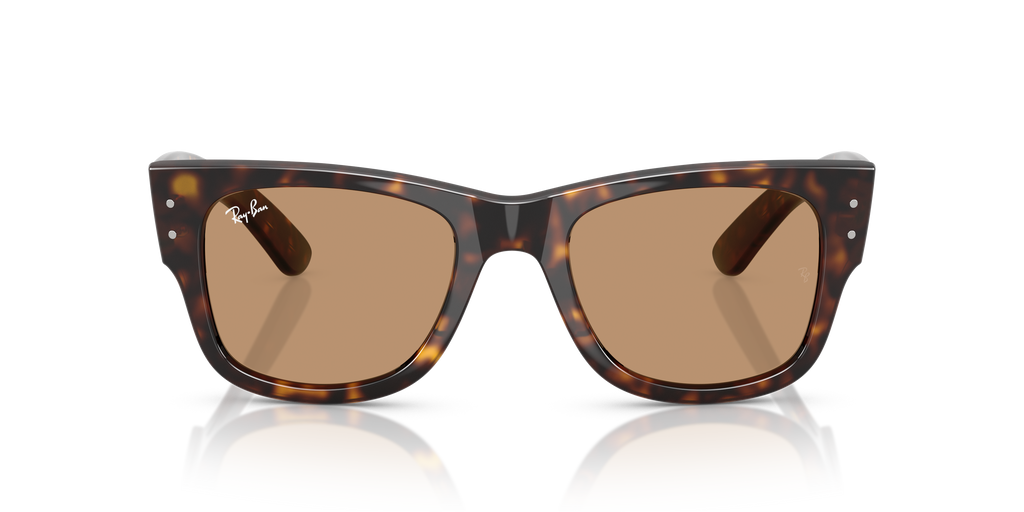 Ray-Ban | 0RB0840S