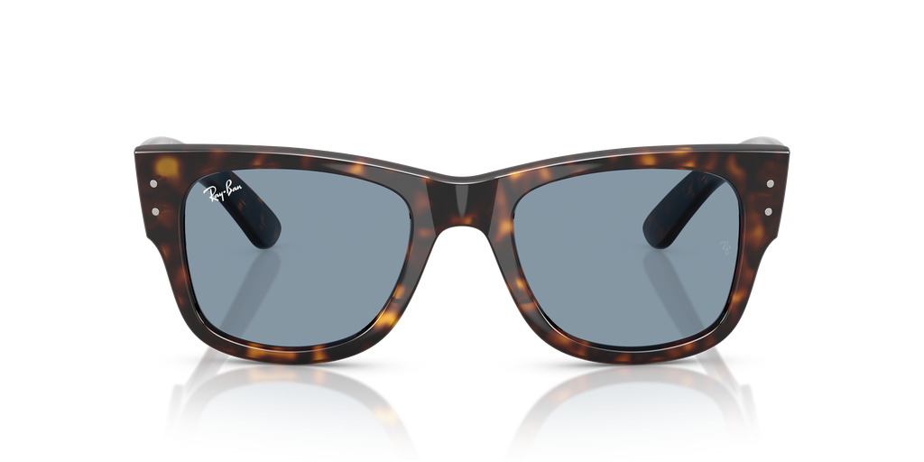 Ray-Ban | 0RB0840S