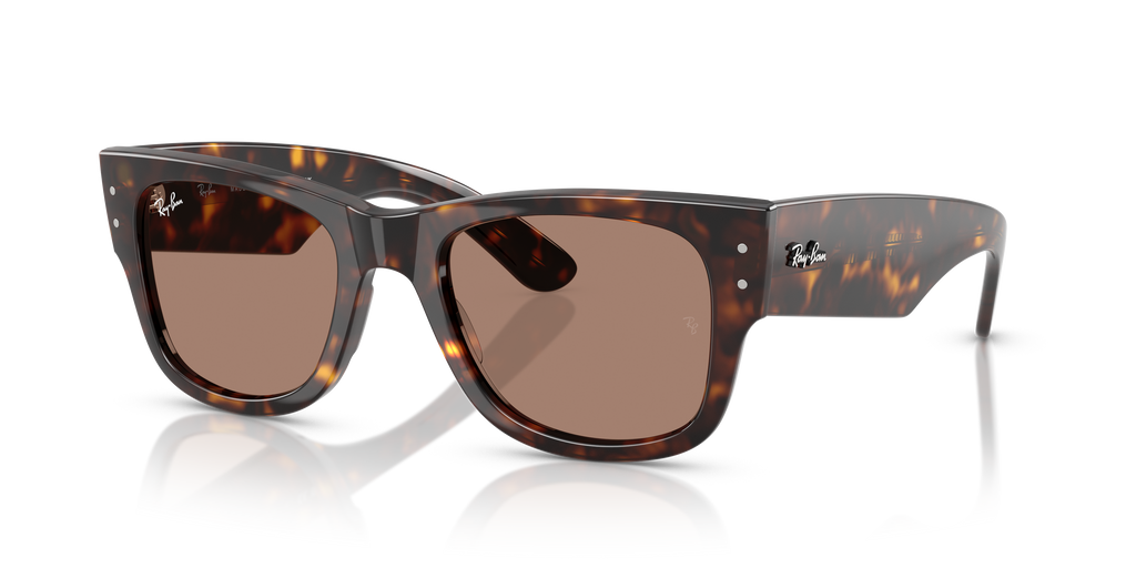 Ray-Ban | 0RB0840S