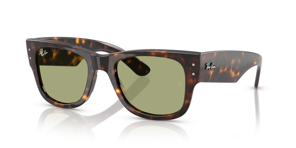 Ray-Ban | 0RB0840S