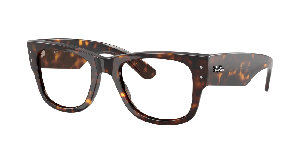 Ray-Ban | 0RB0840S