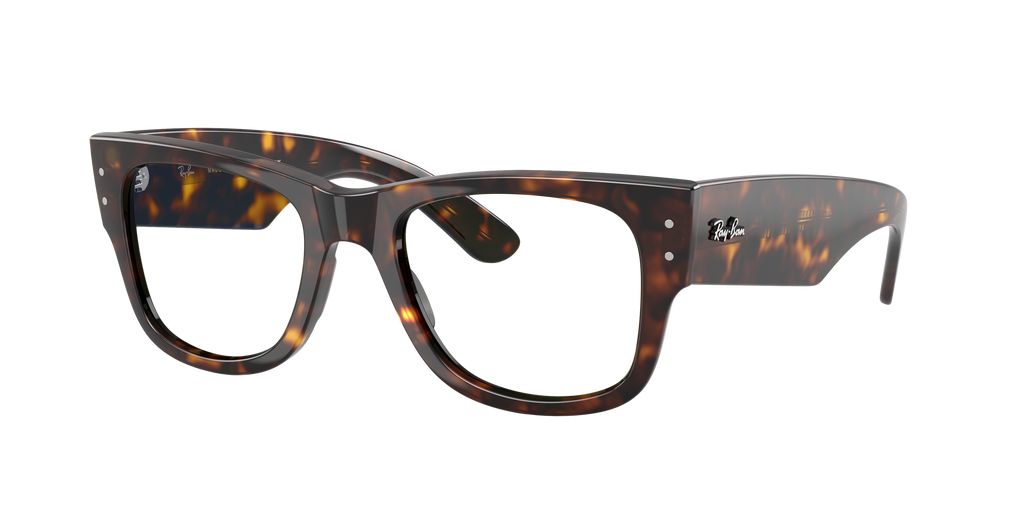 Ray-Ban | 0RB0840S