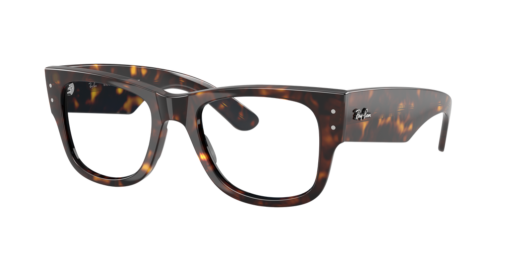 Ray-Ban | 0RB0840S