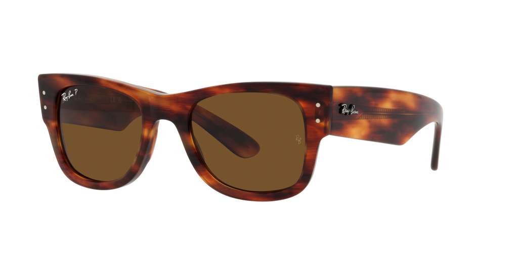 Ray-Ban | 0RB0840S