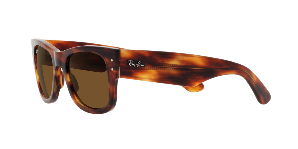 Ray-Ban | 0RB0840S