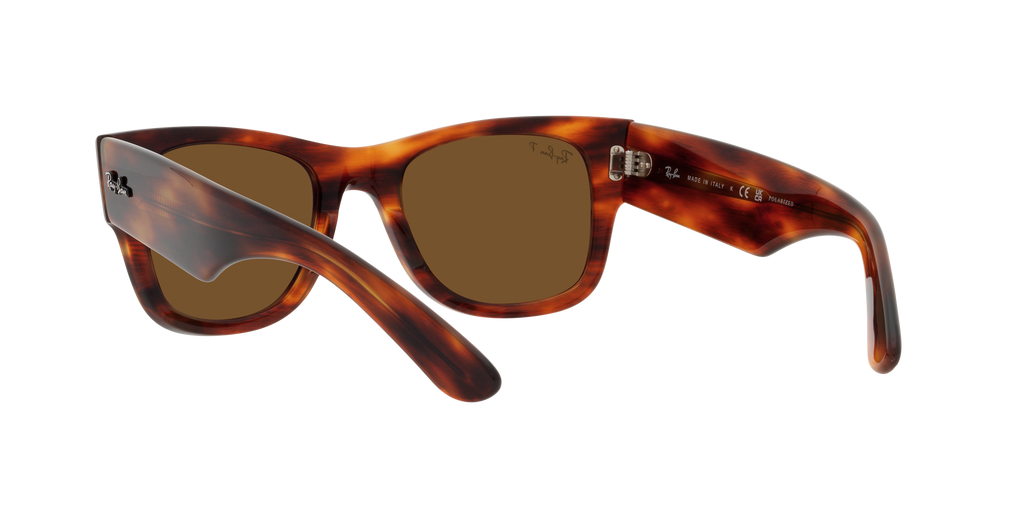 Ray-Ban | 0RB0840S