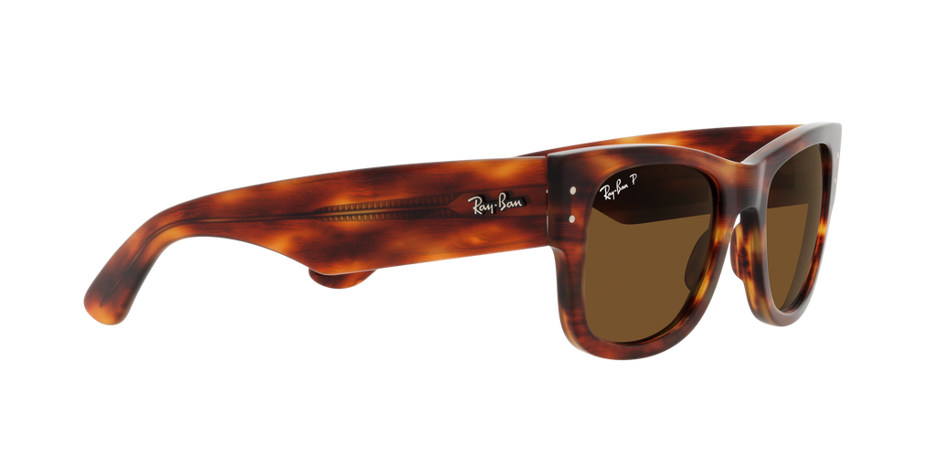 Ray-Ban | 0RB0840S