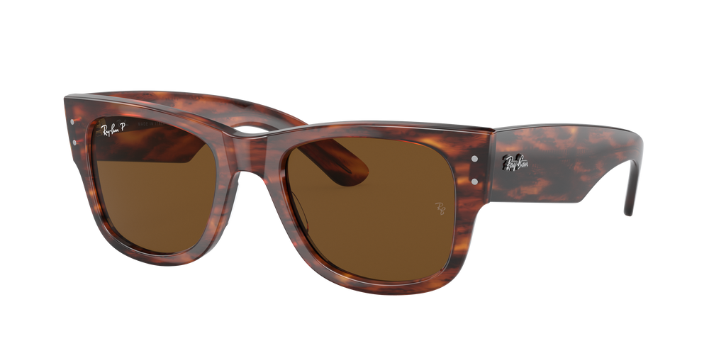 Ray-Ban | 0RB0840S