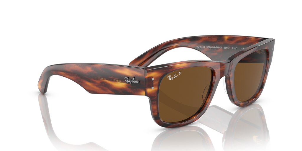 Ray-Ban | 0RB0840S