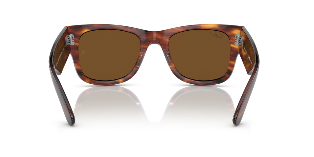 Ray-Ban | 0RB0840S
