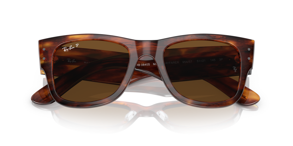 Ray-Ban | 0RB0840S