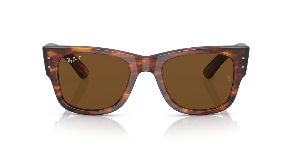 Ray-Ban | 0RB0840S