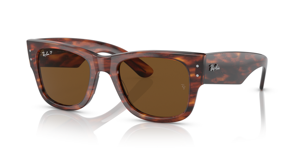 Ray-Ban | 0RB0840S