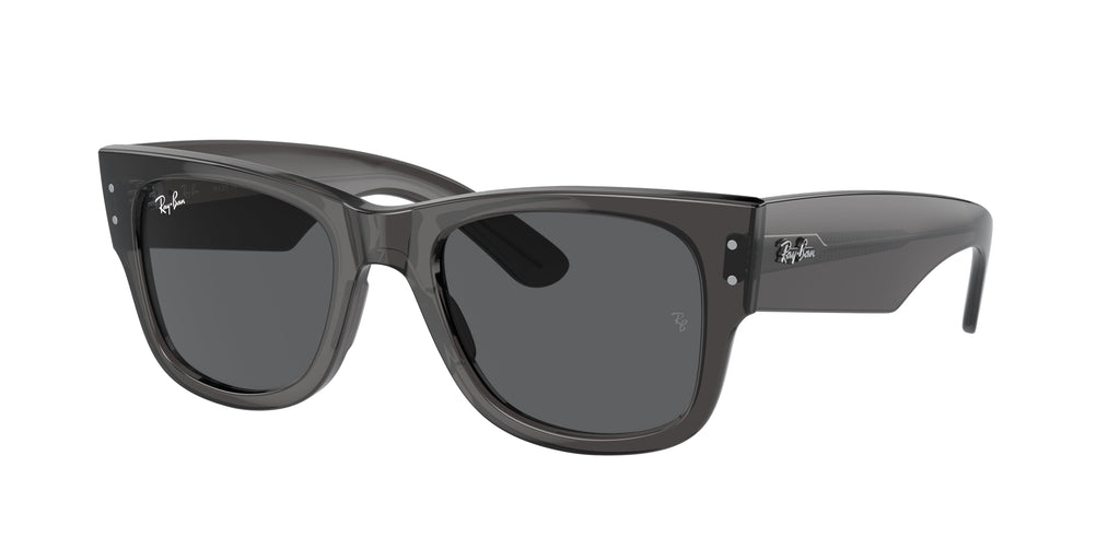 Ray-Ban | 0RB0840S