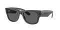 Ray-Ban | 0RB0840S