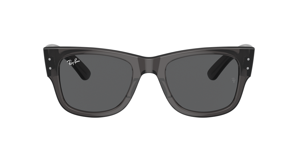 Ray-Ban | 0RB0840S