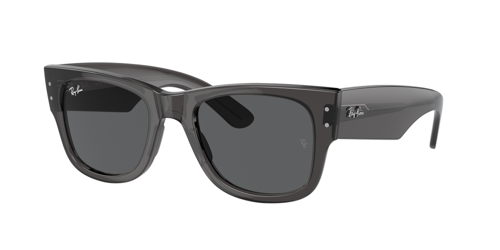 Ray-Ban | 0RB0840S