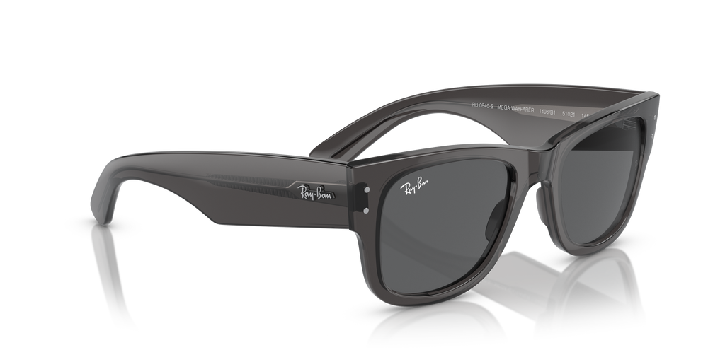 Ray-Ban | 0RB0840S
