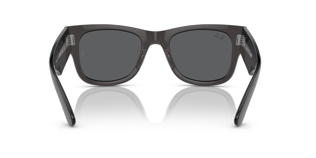 Ray-Ban | 0RB0840S