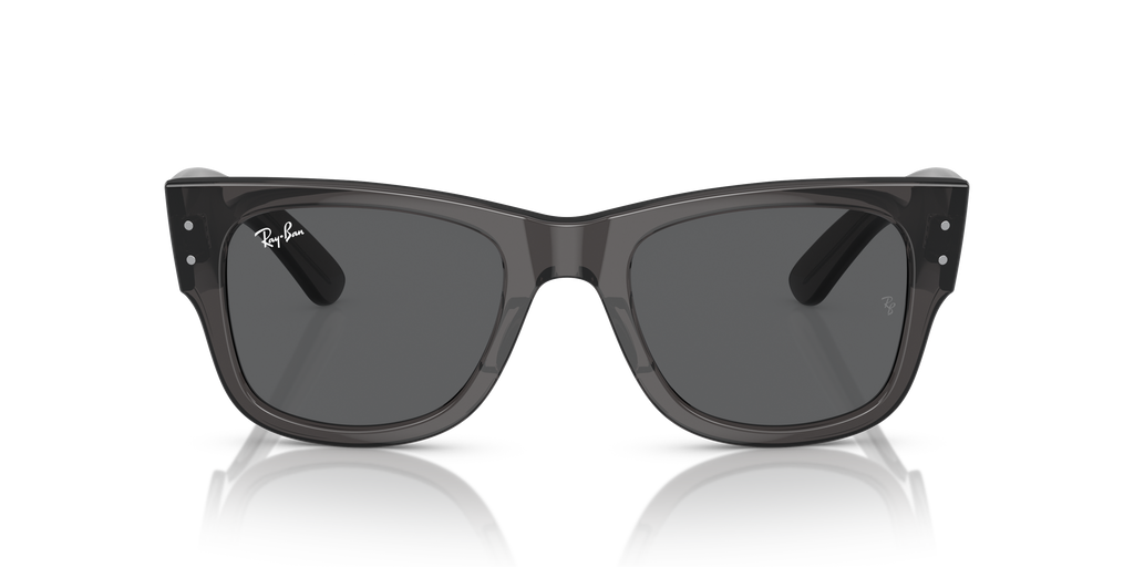 Ray-Ban | 0RB0840S