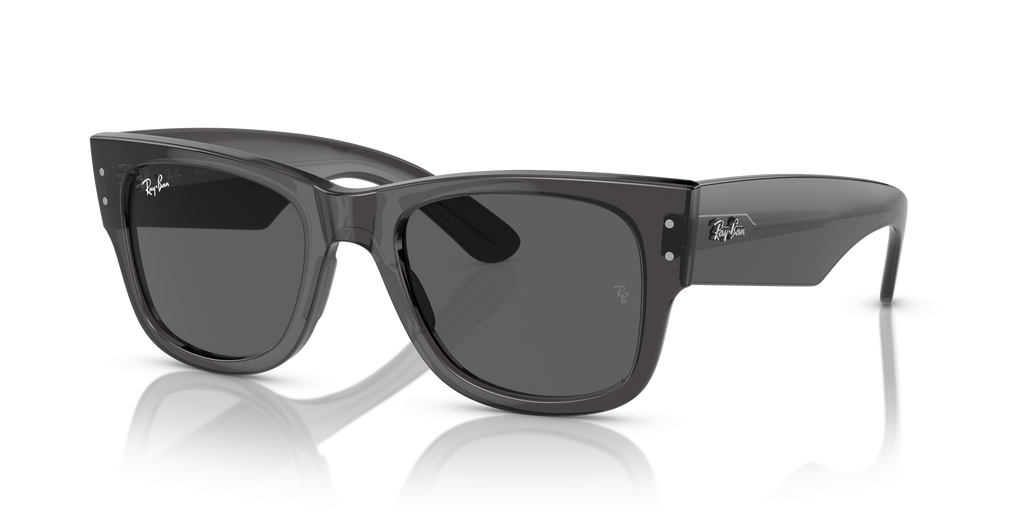 Ray-Ban | 0RB0840S