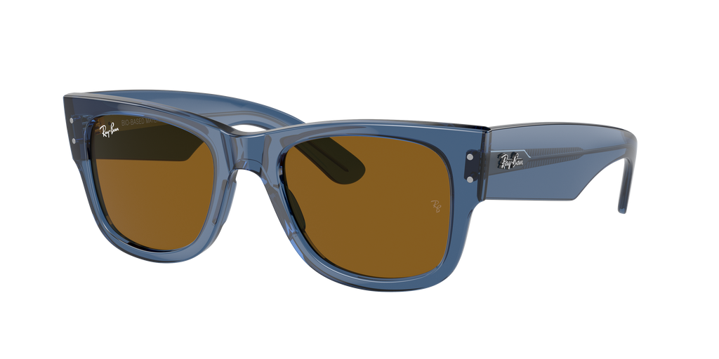 Ray-Ban | 0RB0840S